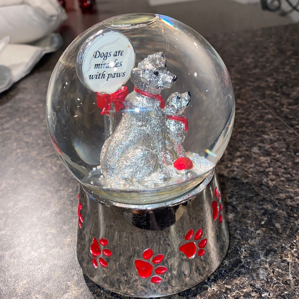 Dog snow globe